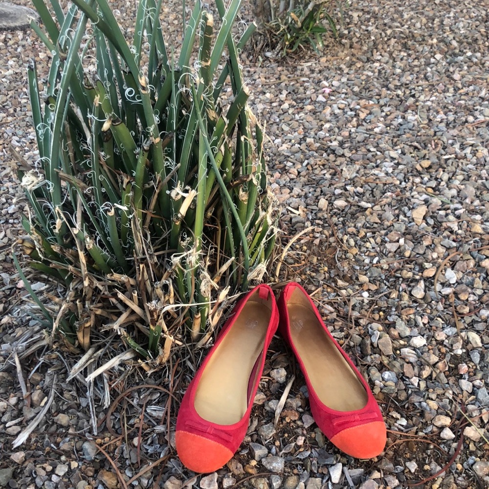 GAP Two Tone Colorful Dainty Round Toe Suede-like Ballet Flats with Bow! Size 6.